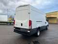 Iveco Daily 35 C14*Carrier 300*Zwillingsbereifung* Weiß - thumbnail 6