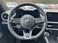 Alfa Romeo Tonale 1.5 130cv Hybrid TCT7 Speciale Blu/Azzurro - thumbnail 13
