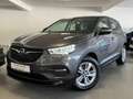 Opel Grandland 1,2 Turbo Business Edition LED/CAM/USB Grau - thumbnail 4