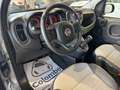 Fiat Panda 1.0 firefly hybrid Cross App conn 15" (Neopat) Grigio - thumbnail 8