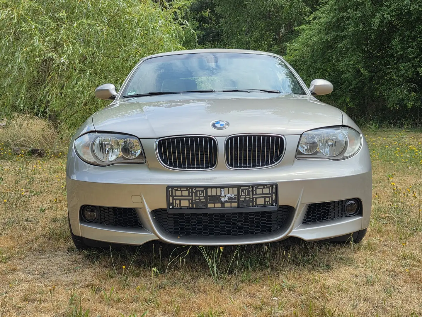 BMW 118 118i Cabrio Beige - 2