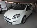 Fiat Punto 1.3Mjt 70kW Blanc - thumbnail 2
