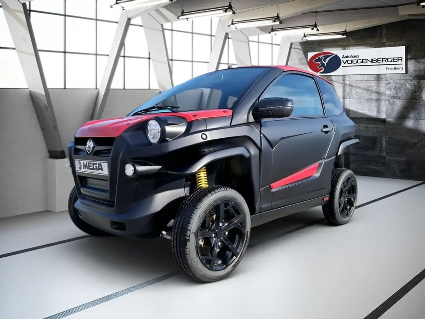 Aixam e Scouty Elektrik Schwarz - 1