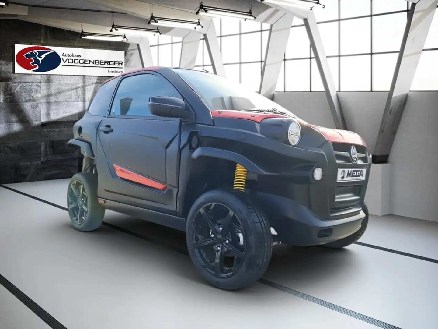 Aixam e Scouty Elektrik Schwarz - 2