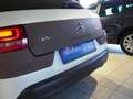 Citroen C4 Cactus 1,6 BlueHDI 100 ETG Shine --Rückfahrkamera-- Weiß - thumbnail 12