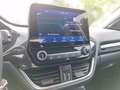 Ford Puma Titanium NAVI DAB CARPLAY GJR WINTER-PAKET Grau - thumbnail 9