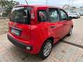 Fiat Panda Panda 1.2 Easy s Rosso - thumbnail 4