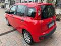 Fiat Panda Panda 1.2 Easy s Rosso - thumbnail 6