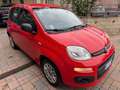 Fiat Panda Panda 1.2 Easy s Rosso - thumbnail 3