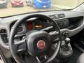 Fiat Panda Panda 1.2 Easy s Rosso - thumbnail 7