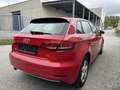 Audi A3 SB 1,6 TDI intense Rouge - thumbnail 7