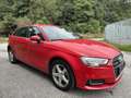Audi A3 SB 1,6 TDI intense Rouge - thumbnail 5