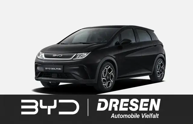 BYD Sonstige