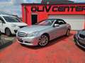 Mercedes-Benz E 350 Classe E Cabriolet 350 CDI BE Executive A 17990e Gris - thumbnail 19