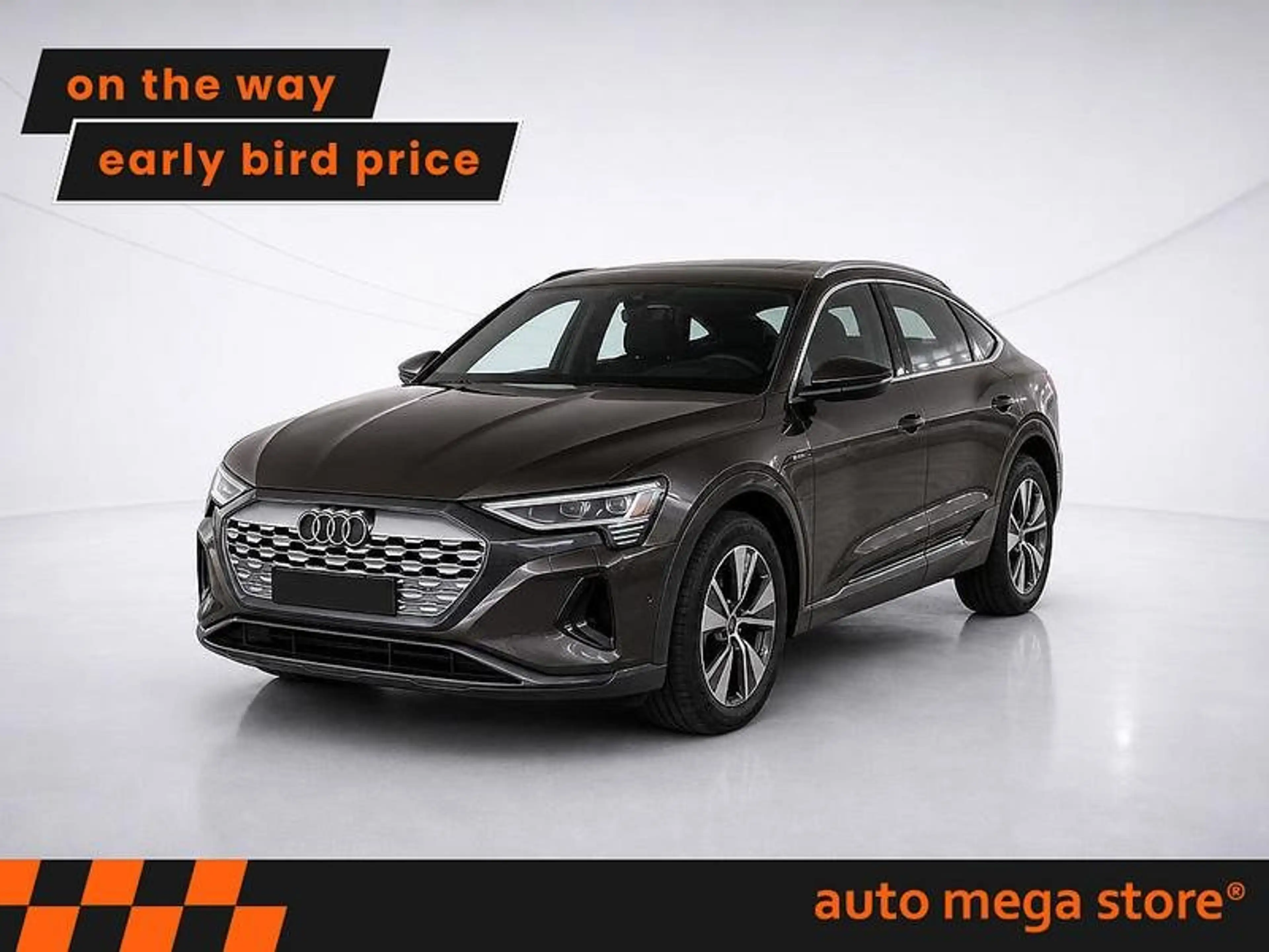 Audi Q8 e-tron Sportback Business Quattro 95 kWh Luft