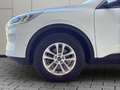 Ford Kuga 2.0 Titanium AWD VIRTUAL BLIS Head-Up Weiß - thumbnail 36