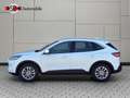 Ford Kuga 2.0 Titanium AWD VIRTUAL BLIS Head-Up Weiß - thumbnail 37