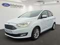 Ford C-Max Titanium 1.0 EcoBoost Navi Apple CarPlay Android A Weiß - thumbnail 1