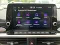 Kia Picanto 1.0 Vision Automatik Navi*Kamera*SHZ Grau - thumbnail 13