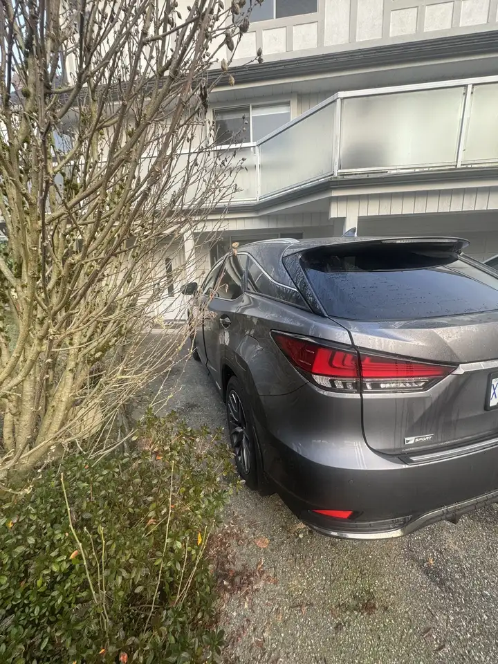 Lexus RX снимка Lexus RX