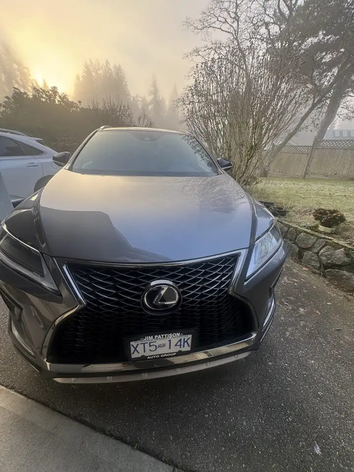 Lexus RX снимка Lexus RX