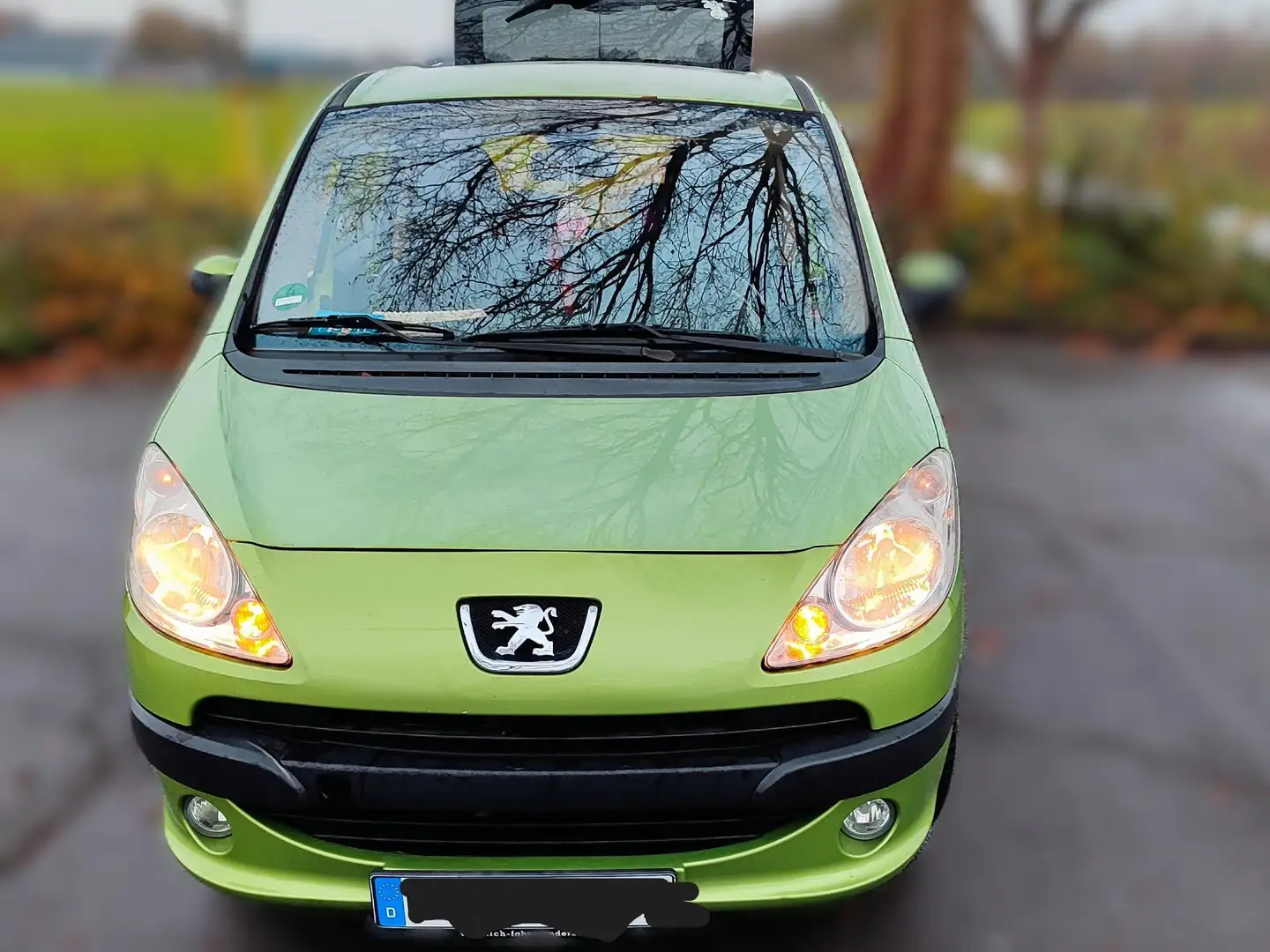 Peugeot 1007 1007 75 Filou Green - 1