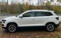 Skoda Karoq 2.0l TDI DSG 4x4 CLEVER *SR+WR*ACC*Kamera* Wit - thumbnail 6