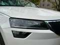 Skoda Karoq 2.0l TDI DSG 4x4 CLEVER *SR+WR*ACC*Kamera* Wit - thumbnail 8