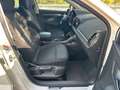 Skoda Karoq 2.0l TDI DSG 4x4 CLEVER *SR+WR*ACC*Kamera* Wit - thumbnail 13