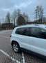 Volkswagen Tiguan Lounge Sport & Style BMT Weiß - thumbnail 3