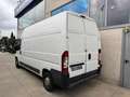 Fiat Ducato tetto alto 35 2.3 mjt 120cv Blanc - thumbnail 2
