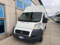 Fiat Ducato tetto alto 35 2.3 mjt 120cv Blanc - thumbnail 3