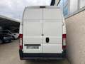 Fiat Ducato tetto alto 35 2.3 mjt 120cv Blanc - thumbnail 4