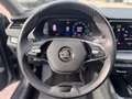 Skoda Octavia Wagon 2.0 TDI Executive 115CV - GARANZIA 12 MESI Grau - thumbnail 7