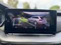 Skoda Octavia Wagon 2.0 TDI Executive 115CV - GARANZIA 12 MESI Grau - thumbnail 11