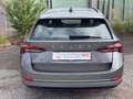 Skoda Octavia Wagon 2.0 TDI Executive 115CV - GARANZIA 12 MESI Grau - thumbnail 5