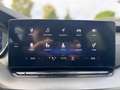 Skoda Octavia Wagon 2.0 TDI Executive 115CV - GARANZIA 12 MESI Grau - thumbnail 10