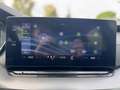 Skoda Octavia Wagon 2.0 TDI Executive 115CV - GARANZIA 12 MESI Grau - thumbnail 12