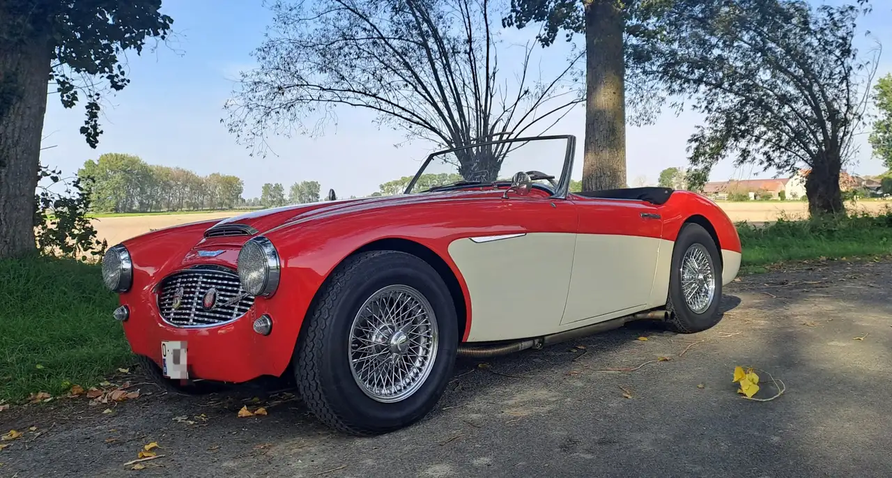Austin-Healey 3000 Triple webers BT7-L9689, foto 1