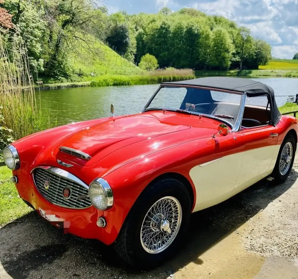 Austin-Healey 3000 Triple webers BT7-L9689, foto 7