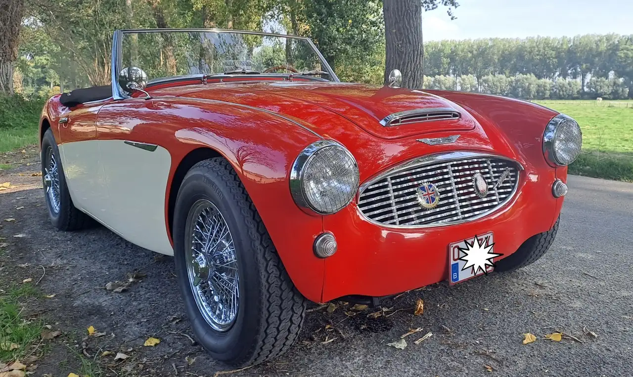 Austin-Healey 3000 Triple webers BT7-L9689, foto 3