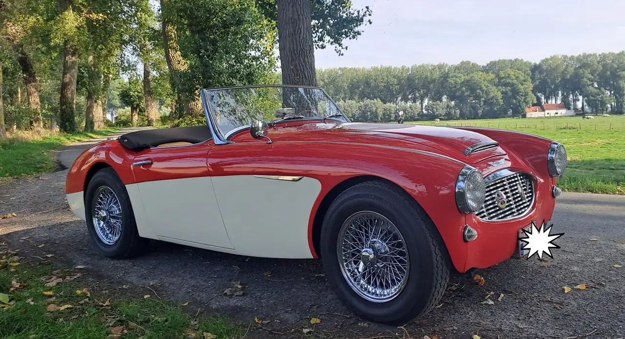 Austin-Healey 3000 Triple webers BT7-L9689, foto 4