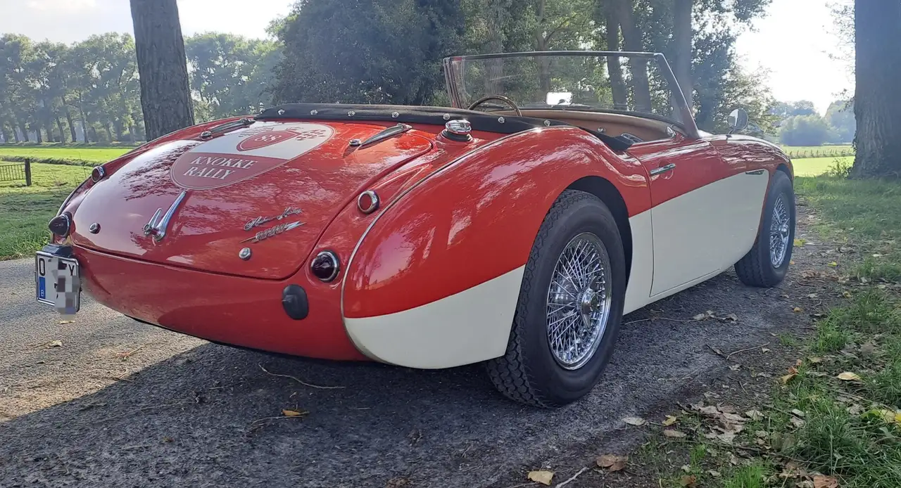 Austin-Healey 3000 Triple webers BT7-L9689, foto 6