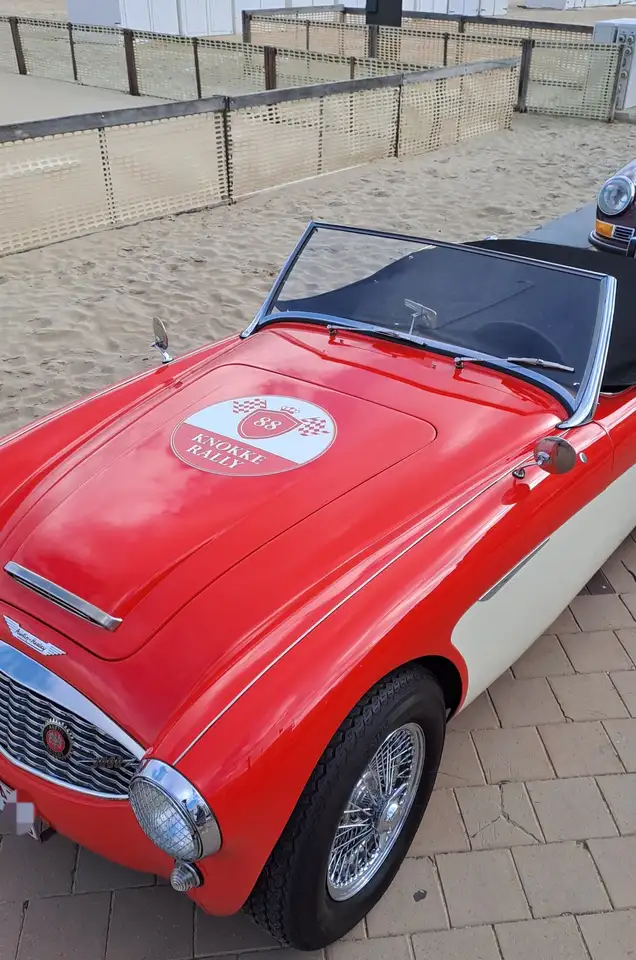Austin-Healey 3000 Triple webers BT7-L9689, foto 12