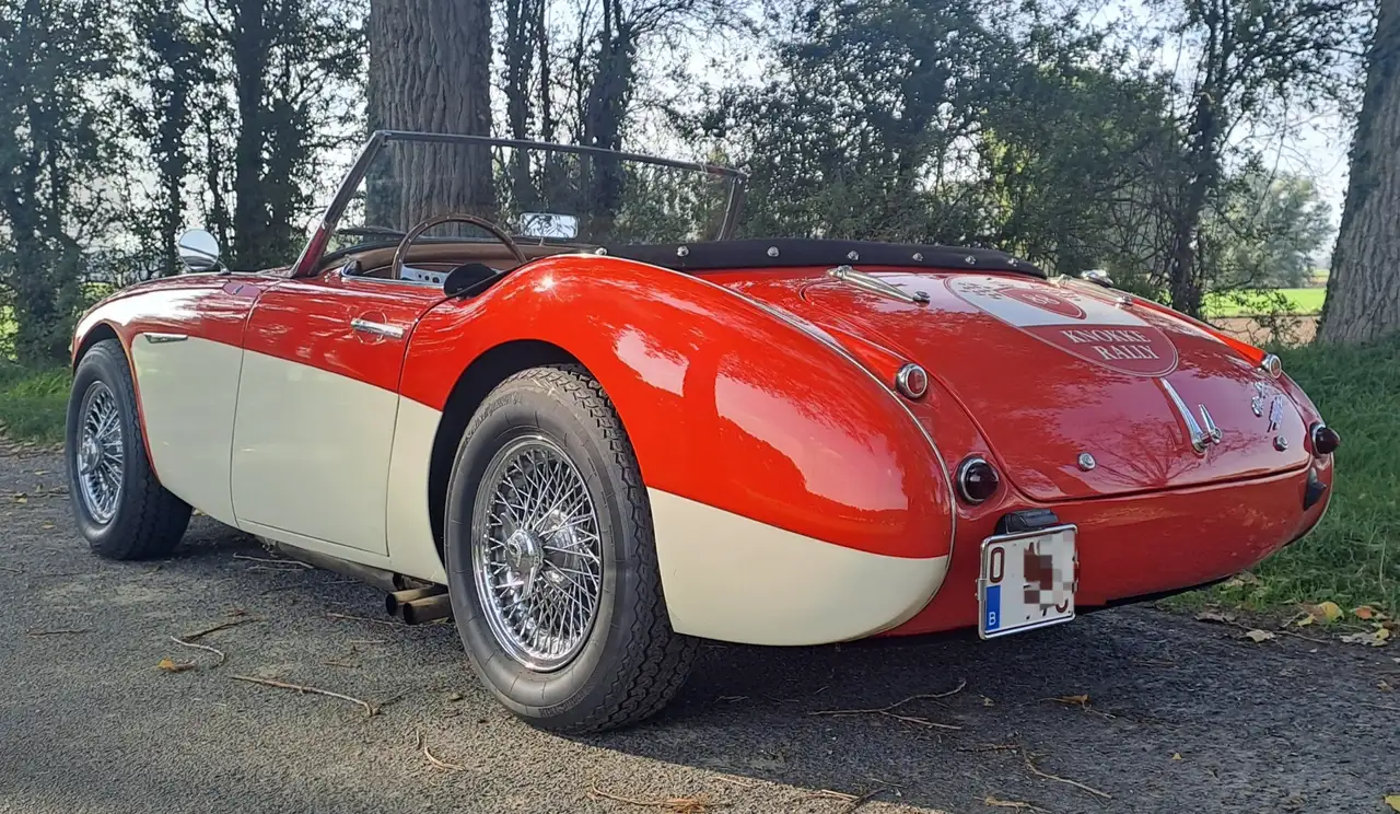 Austin-Healey 3000 Triple webers BT7-L9689, foto 5