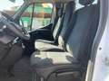 Renault Master 150 DCI - CASSONE FISSO 3.85 mt Blanc - thumbnail 12
