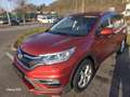 Honda CR-V CR-V 1,6i-DTEC Lifestyle 4WD Aut. Lifestyle Rot - thumbnail 2