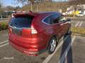 Honda CR-V CR-V 1,6i-DTEC Lifestyle 4WD Aut. Lifestyle Rot - thumbnail 4