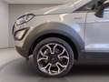 Ford EcoSport 1.0 ecoboost Active s&s 125cv Grigio - thumbnail 7
