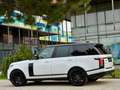 Land Rover Range Rover 3,0 TDV6 Autobiography Weiß - thumbnail 14